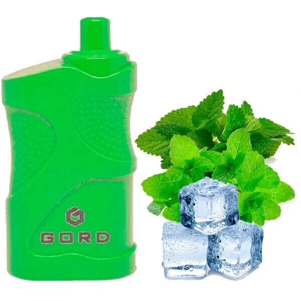 Одноразовая электронная сигарета GORD Mint Ice (Мята Лед) (4000 Затяжек)