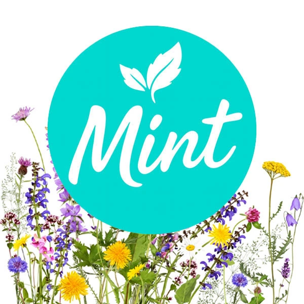 Безникотиновая смесь Mint Цветочный Микс 200 гр