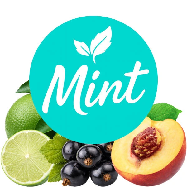 Безникотиновая смесь Mint Смородина Персик-Лайм 50 гр