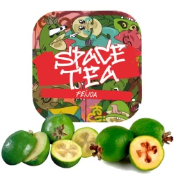 Чайная cмесь Space Tea Feijoa (Фейхоа) 250 гр