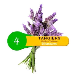 Табак Tangiers Noir Blitzsturm 4 (Блицштурм) 100гр