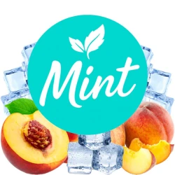 Безникотиновая смесь Mint Айс Персик 50 гр
