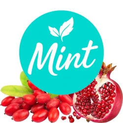 Безникотиновая смесь Mint Гранат Барбарис 50 гр