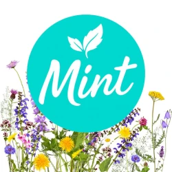 Безнікотинова суміш Mint Квітковий 100 гр