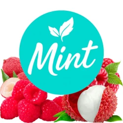 Безникотиновая смесь Mint Личи-Малина 50 гр