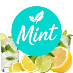Безнікотинова суміш Mint Мохіто 100 гр