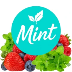 Безнікотинова суміш Mint Ягоди-М'ята 100 гр