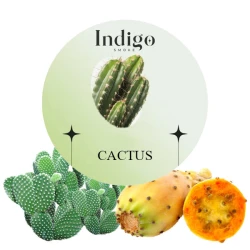 Бестабачная Смесь IndiGo Cactus (Кактус) 100 гр