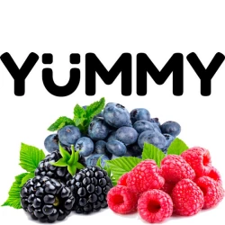 Табак Yummy Лесные Ягоды 100 гр