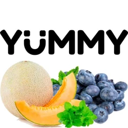Табак Yummy Дыня Черника Мята 250 гр