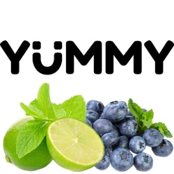 Табак Yummy Лайм Черника 100 гр