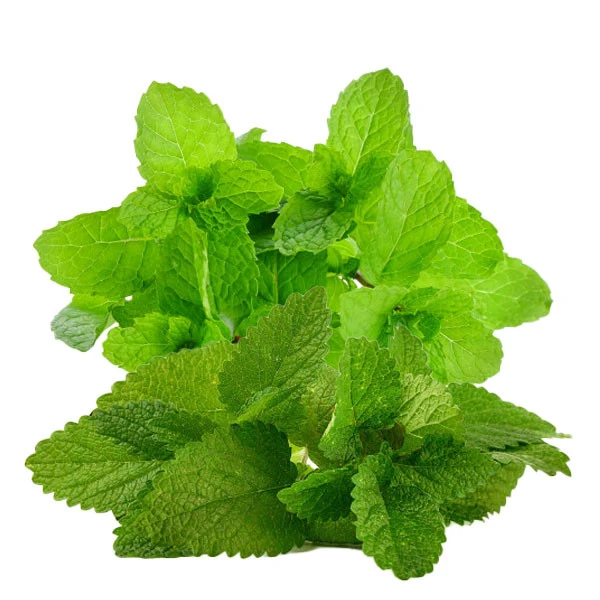 Табак Fumari Enlighten Mint (Инлайтен Минт) 100гр