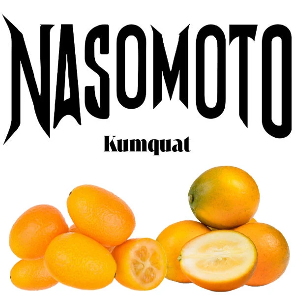 Табак Nasomoto Kumquat (Кумкват) 100 гр